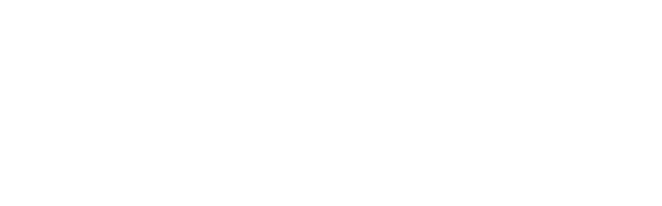 Logo of Napoca University