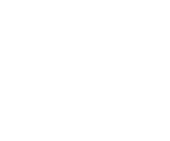 Logo of Riga University